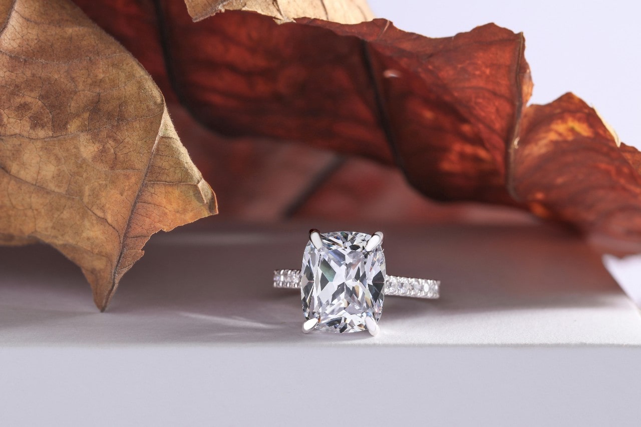 a simple engagement ring on a white stand sitting under brown leaves