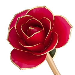 Luscious Pink 24K Gold Dipped Rose 