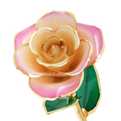 Blushed Pink 24K Gold Dipped Rose 