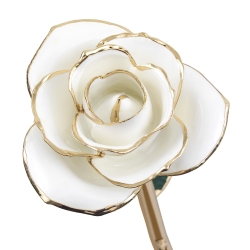 Blissful White 24K Gold Dipped Rose 