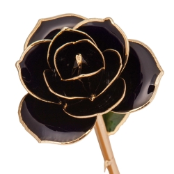 Black 24K Gold Dipped Rose 