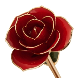 Ravishing Red 24K Gold Dipped Rose