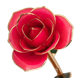 Pretty in Pink 24K Gold Dipped Rose