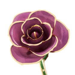 Lovely Lavender 24K Gold Dipped Rose