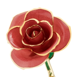 Evening Coral 24K Gold Dipped Rose