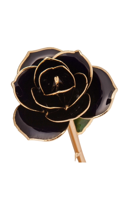 Black 24K Gold Dipped Rose