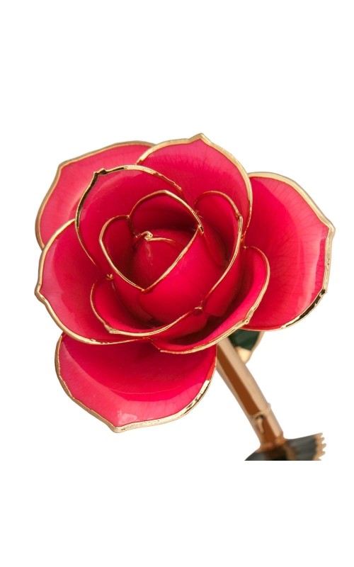 Pretty in Pink 24K Gold Dipped Rose