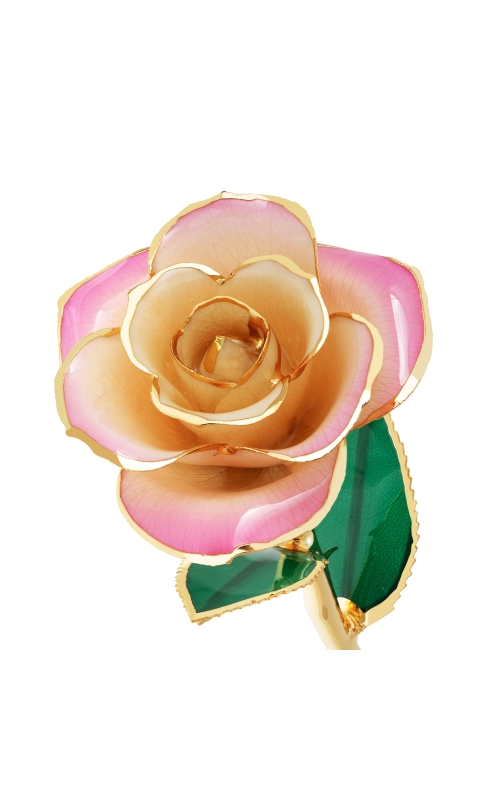 Champagne & Pink 24K Gold Dipped Rose