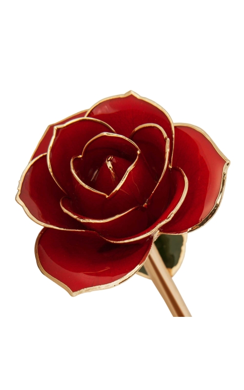 Ravishing Red 24K Gold Dipped Rose