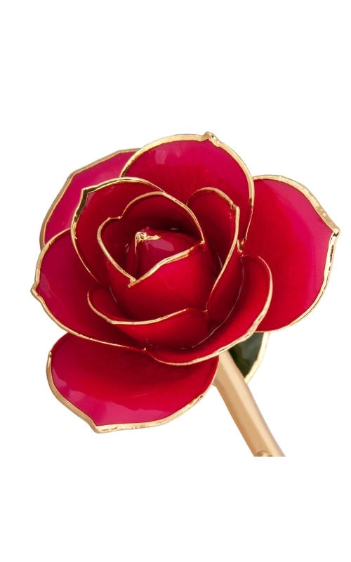 Luscious Pink 24K Gold Dipped Rose