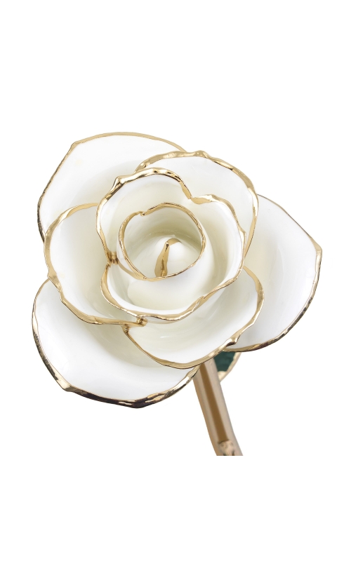 Blissful White 24K Gold Dipped Rose