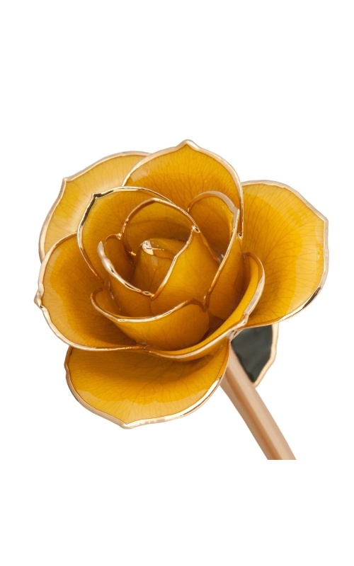 Sunshine Yellow 24K Gold Dipped Rose